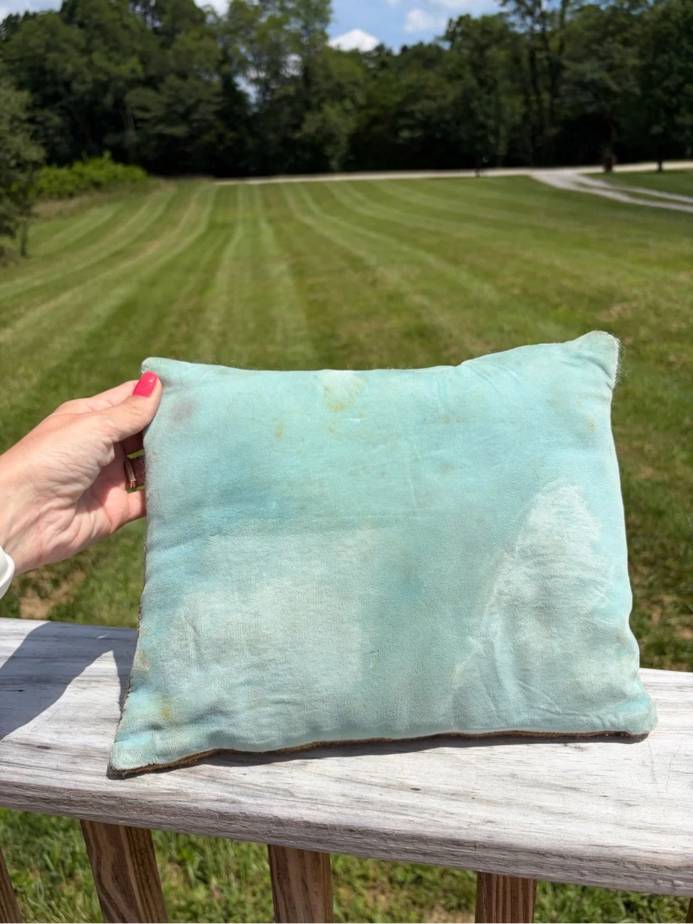 Vintage Needlepoint Pillow House Landscape Decorative Small Velvet Cottagecore